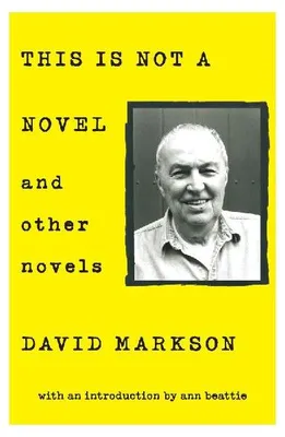 Produktbild von This Is Not a Novel and Other Novels