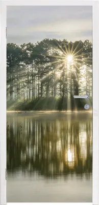 Produktbild von MuchoWow® Türtapete Selbstklebende Türfolie Sonnenstrahlen durch die Bäume an einem ruhigen See 90x215 cm Türposter Türaufkleber Klebefolie Türklebefolie - Plakat an der Tür - Türsticker - Aufklebern