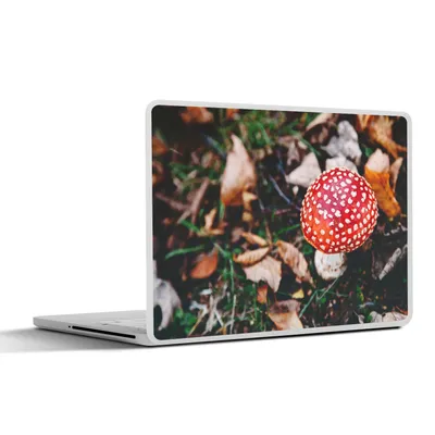 Produktbild von MuchoWow® Laptop Aufkleber Sticker Cover Herbst - Pilz - Blätter - Natur 31x22.5 cm - Laptop-Deko