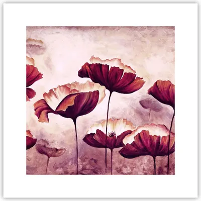 Produktbild von Poster - Poster ohne Rahmen - Mohn Blume Wiese - 30x30 cm - Wand Bild - Wanddeko - Wandbilder - Kunstposter - Wandposter - Bilder - Kunstdruck - Wanddekoration - Wandbild - P2XAC30x30-3934