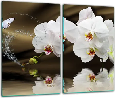 Produktbild von Herdabdeckplatten Glaskeramikkochfeld-Abdeckung Spritzschutz Glas 60x52cm Blume