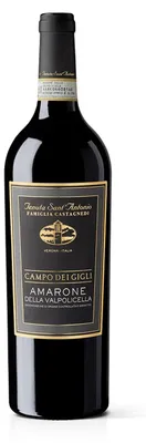 Produktbild von Amarone di Valpolicella Campo Gigli - 2015 - Tenuta Sant'Antonio