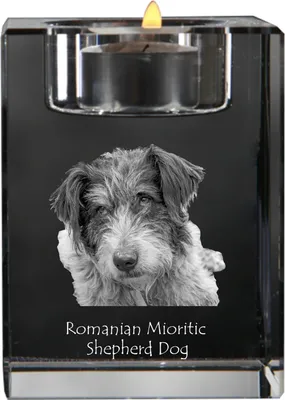 Produktbild von Art-Dog Teelichthalter Ciobănesc Românesc Mioritic