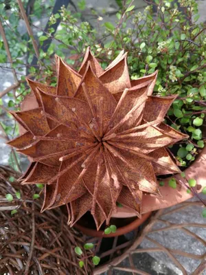 Produktbild von Edelrost Blume Electra, klein