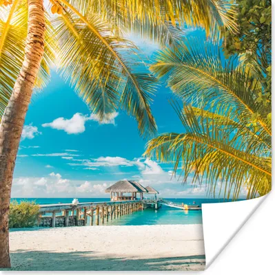 Produktbild von MuchoWow® Poster Strand - Palme - Meer 75x75 cm - Wand Dekoration