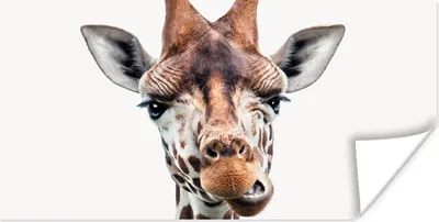 Produktbild von MuchoWow® Poster Jungen - Giraffe - Tiere - Kopf - Porträt - Kind - Mädchen 120x60 cm - Bild