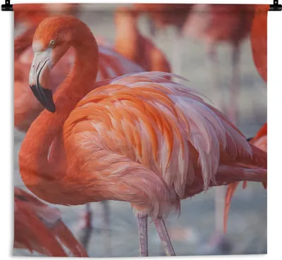 Produktbild von MuchoWow® Wandteppich Wandbehang Flamingo - Vogel - Tiere - Rosa 60x60 cm Tapisserie Dekoration Wandtuch - Dekorationen - Wand Decke