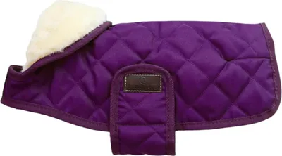 Produktbild von Kentucky Dogwear Hundemantel Original Hundejacke Royal Purple S/M