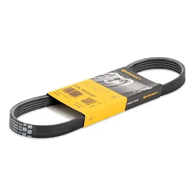 Immagine prodotto di Cintura con nervatura a V CONTITECH 5PK690 ELAST