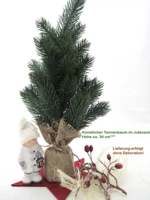 Produktbild von Tannenbaum im Jutesack kiefergrün ca.38 cm hoch