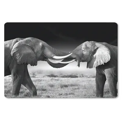 Produktbild von MuchoWow® Mauspad Mousepad Elefant - Tiere - Schwarz und weiß - Porträt - Landschaft 27x18 cm - Mousepads - Maus Mat - Pad - Mausunterlage - Büroartikel - Desk Matten