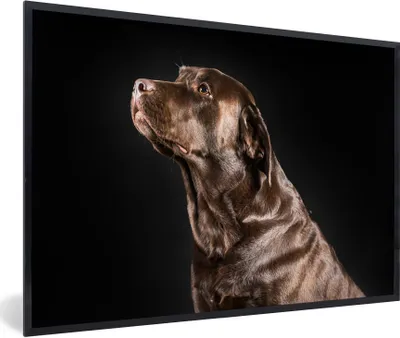 Produktbild von MuchoWow® Gerahmtes Poster Hund - Braun - Porträt 90x60 cm - Poster mit Schwarzem Bilderrahmen Wandposter Rahmen Foto Bilder - Fotorahmen - Foto-Plakat