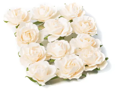 Produktbild von 12 Deko Rosen Elfenbein 3,5 cm - Einheitsgröße