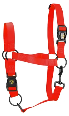 Image de Excellent Cheval Essentiel Halfter L Cob Rot