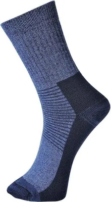Image de Portwest - Chaussettes thermiques homme/femme unie PC6761 (39,5 EU - 43 EU) (Bleu)