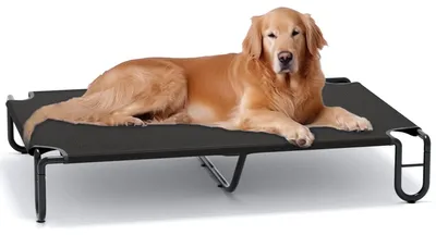 Erhöhtes Hundebett XL, schwarz, tragbar, für drinnen & draußen