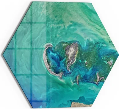 Produktbild von DEQORI Glasbild Echtglas 40x35 cm 'Herz der See' Wandbild Bild modern Deko