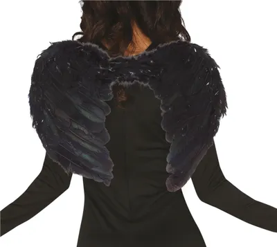 Productafbeelding van Black Angel, zwarte veren, 50 cm