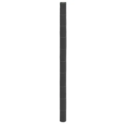 Immagine prodotto di Velo di erbacce nero 2x100 m PP