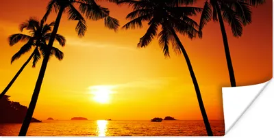 Produktbild von MuchoWow® Poster Palme - Sonnenuntergang - Strand - Orange - Tropisch 40x20 cm - Poster für die Wand - Poster Schlafzimmer