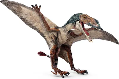 Image de Enfants carnivores bouche ouverte Pterodactyl PVC Dinosaures World modèle animal Figurines Jouets
