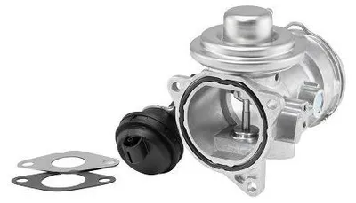 Produktbild von AGR-Ventil BORG WARNER 7372D