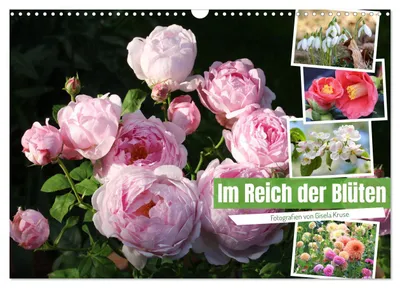 Produktbild von Im Reich der Blüten (Wandkalender 2027 DIN A3 quer), CALVENDO Monatskalender