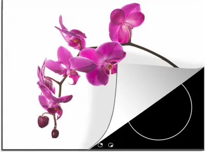 Produktbild von KitchenYeah© Herdabdeckplatte Orchidee vor weißem Hintergrund , 59x51cm, Küche Deko, Glaskeramikkochfeld Herdabdeckung, Abdeckplatte fùr Kochfeld