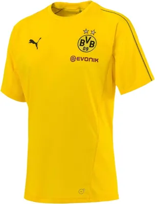 Produktbild von Puma BVB Borussia Dortmund Herren Training Jersey Trikot T-Shirt gelb/schwarz 753358-01, Größe:XL
