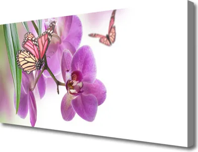Produktbild von Tulup Leinwand-Bilder 100x50 Wandbild Canvas Kunstdruck Schmetterlinge Blumen Natur