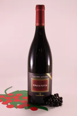 Obrázek produktu pro Blauburgunder Riserva Burgum Novum - ročník 2021 - vinařství Castelfeder
