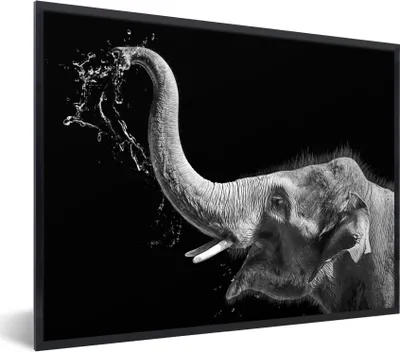 Produktbild von MuchoWow® Gerahmtes Poster Porträt - Elefant - Tiere - Schwarz und weiß 80x60 cm - Poster mit Schwarzem Bilderrahmen Wandposter Rahmen Foto Bilder - Schwarzem - Mit Gestell