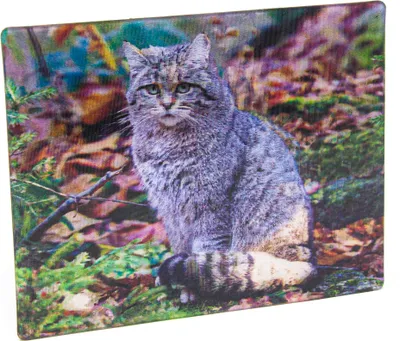 Produktbild von 3D Kühlschrankmagnet mit Wildkatzen-Motiv, 9 x 7 cm
