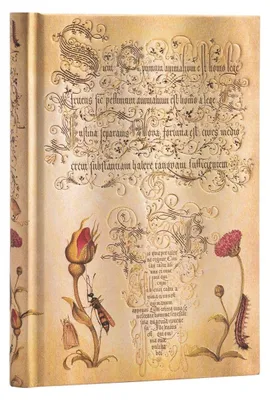 Produktbild von Hardcover Notizbuch Flämische Rose Midi Unliniert