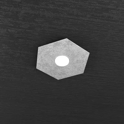Image de Plafonnier moderne Hexagon Metal Leaf Silver 1 Light Led 12W
