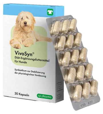 Produktbild von Vivosyn 30 Kapseln für Hunde Präbiotikum Probiotikum Durchfall Verdauungsstörung