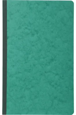 Image de Exacompta Piqûre 32x19,5cm recettes-dépenses 80 pages assort. 7730E