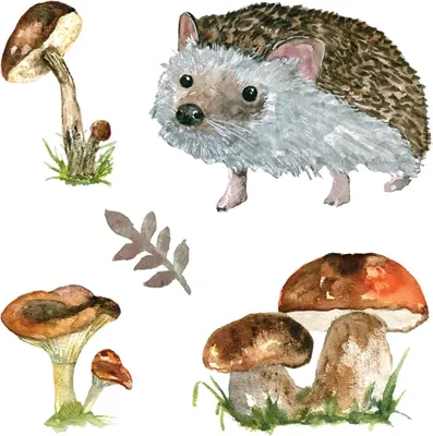 Zdjęcie produktu dla Lesní Ježek – Samoprzylepne naklejki 3D na ścianę – Tatuaż na ścianę – Samoprzylepne tapety – Dekoracje ścienne – Panel 3D – Pokój dziecięcy – 130x201 cm