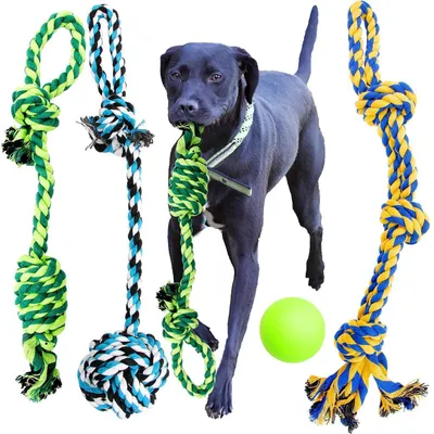 Immagine prodotto di Set di 4 giocattoli per cani in corda, adatti a cani di taglia media e grande, per l'igiene dentale, realizzati con materiali naturali