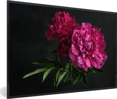 Produktbild von MuchoWow® Gerahmtes Poster Pfingstrosen - Stillleben - Rosa 90x60 cm - Poster mit Schwarzem Bilderrahmen Wandposter Rahmen Foto Bilder - Fotorahmen - Foto-Plakat
