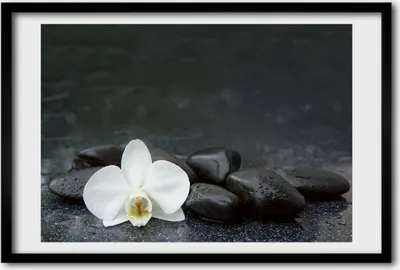 Produktbild von Bild 60x40 MDF-Rahmen, Wandkunst Orchidee