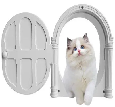 Produktbild von Haustierklappe - Katentor - Hundeausgang - Flexible Tierklappe - 28*24*6,5 cm - Katzen-/Hundehaus - Regulierbare Ein-/Ausgangsrichtung
