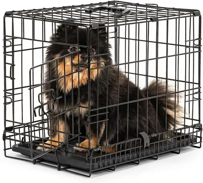 Immagine prodotto di Trasportino per cani - Contenitore per animali - Trasporto sicuro - Include divisorio - 45x31x36 cm - Nero