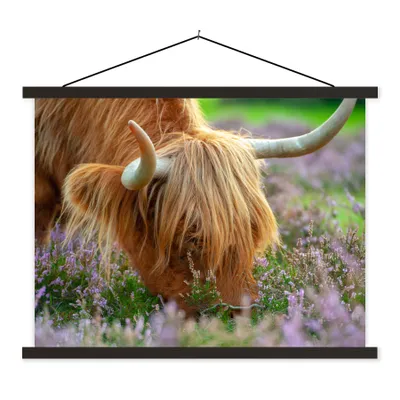Produktbild von MuchoWow® Textilposter Schottischer Hochländer - Hörner - Heidekraut 150x113 cm mit holzfarbenen Rahmen - Poster