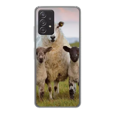 Produktbild von MuchoWow® Handyhülle Schutzhülle Hülle für Samsung Galaxy A33 5G Schafe - Natur - Schwarz - Weiß Silikon Softcase Handy Hülle - Kartenhalter