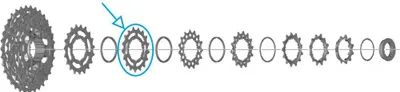 Image de Pignon Shimano pour CS-R7100, dents:17 dents