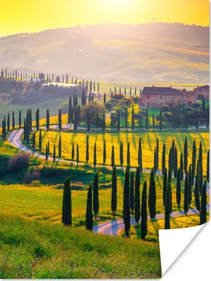 Produktbild von MuchoWow® Poster Gras - Sonne - Hügel - Landschaft 120x160 cm - Wandbilder