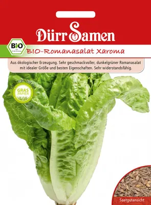 Artikelbild 1 von 'Bio-Römersalat Xaroma' aus der Kategorie Salatsamen