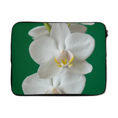 Produktbild von MuchoWow® Laptop Hülle 15 Zoll Orchidee mit grünem Hintergrund Laptoptasche - Laptoptasche - Sleeve - Rundum-Schutz