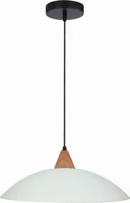 Zdjęcie produktu dla Lampa wisząca 40 OTRIKS 31-63557 Candellux